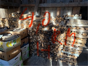 Brennholz Trockenes  Weichholz - Kaminholz ofenfertig in Schnifis Bild 3