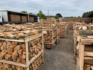 Trockenbrennholz verfügbar Bild 4