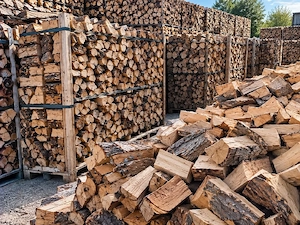 Trockenbrennholz verfügbar Bild 5