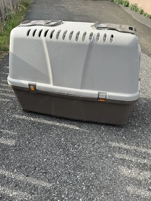 Hundebox zu verkaufen Bild 3