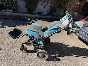 Reha Buggy Hoggi Evolution  Bild 4