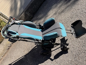 Reha Buggy Hoggi Evolution  Bild 3