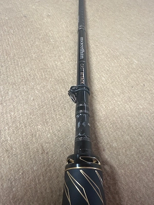 Daiwa Morethan High End Baidcaster Rute Bild 3