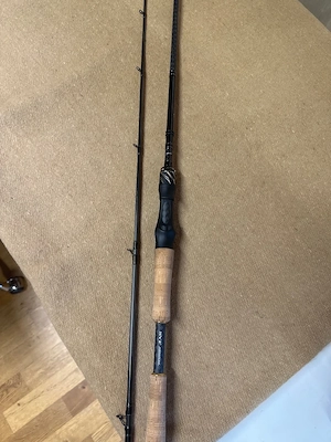 Daiwa Morethan High End Baidcaster Rute Bild 5