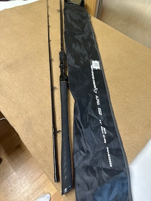 Savage Gear Baidcaster Big Bait Rute Bild 2
