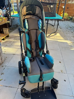 Reha Buggy Hoggi Evolution  Bild 1