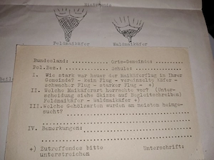 Sammelband der Heimatkunde von Vorarlberg 1-12 Verlag Haase Wien Le 1936 1300 S. m. Wirtschaftsteil  Bild 10