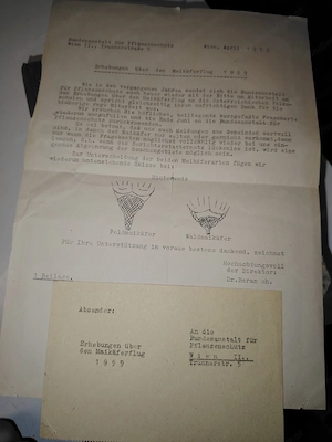 Sammelband der Heimatkunde von Vorarlberg 1-12 Verlag Haase Wien Le 1936 1300 S. m. Wirtschaftsteil  Bild 9