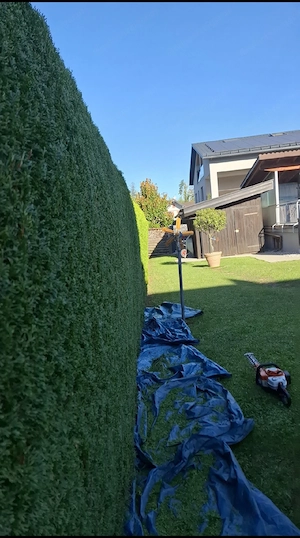 Gartenarbeiten Bild 2
