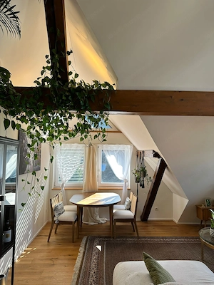 Geniale Penthouse Wohnung in Dornbirn Bild 6