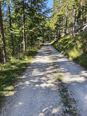 Aus starken Sehnsucht 