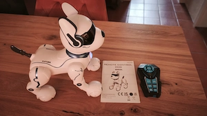Roboter Hund, Robo Dog Bild 2