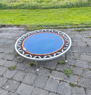 Original Trimilin Minitrampolin     ca. 102 cm Bild 2
