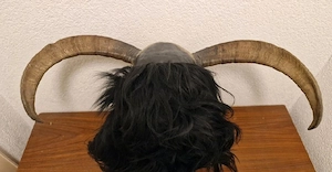 Krampusmaske Bild 4