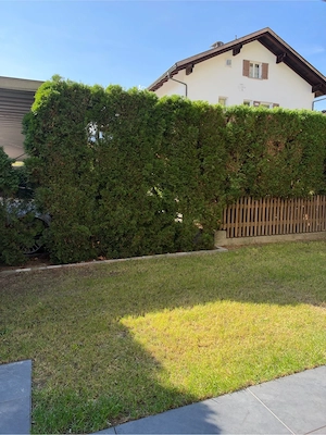 garten Wohnung Bild 5