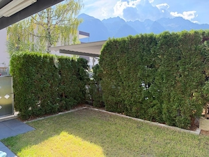 garten Wohnung Bild 4