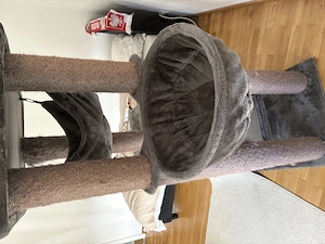 Griße Kratzbaum.. Bild 3