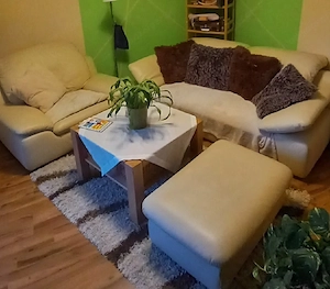 Ledersofa 3tlg. inkl Tisch