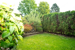 Attraktive Erdgeschosswohnung mit Wintergarten & Grünfläche Bild 5
