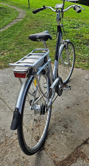E-Bike Wellbike fast neu Bild 3