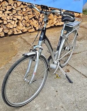 E-Bike Wellbike fast neu Bild 2