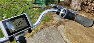 E-Bike Wellbike fast neu Bild 5
