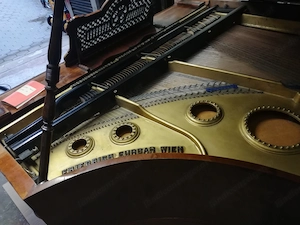 Flügel Klavier von Friedrich Erhard Bild 4