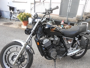Honda shadow VT 500 Bild 3
