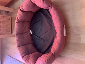 Hundebett günstig abzugeben  Bild 2
