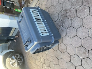 Hundebox groß kaum gebraucht wie neu Bild 2