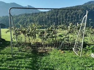 großes Fußballtor sehr stabil; hält Wind und Wetter stand Bild 2