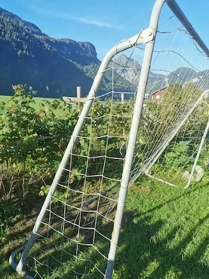 großes Fußballtor sehr stabil; hält Wind und Wetter stand Bild 3