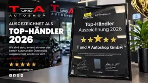 Volkswagen  Bild 19