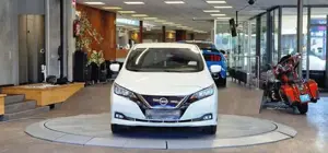 Nissan Leaf Bild 2