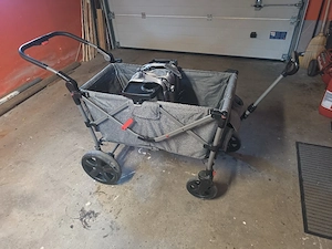 Ever Advanced Bollerwagen Bild 3