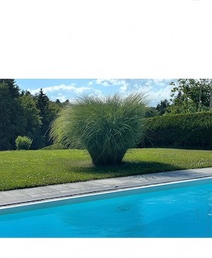 Grüne Steiermark Bild 8