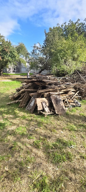 Altes Holz lustenau Bild 2