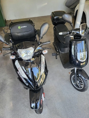 2 E-Roller zu verkaufen   Modell Senioren 600 W Bild 3