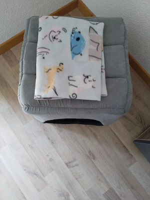 Katzenhöhle Bild 3