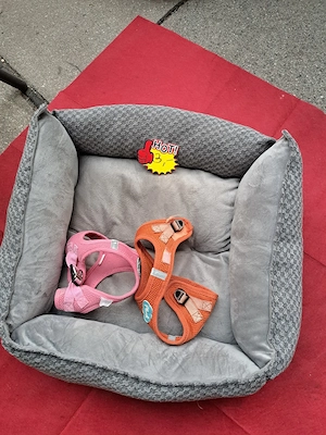 Hundebettchen Plätzchen !! Bild 2