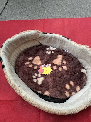 Hundebettchen Plätzchen !! Bild 3