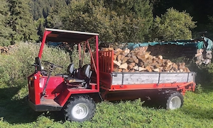 AEBI TP35 Schlepper Transporter Bild 2