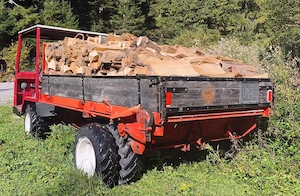 AEBI TP35 Schlepper Transporter Bild 3