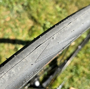 Scott Addict RC 30 Bild 9