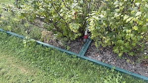 1 Gartenbeet 6Meterx 80cm zum Selbstabbau Bild 4