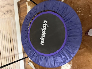 Trampolin Indoor für Jumping Bild 3
