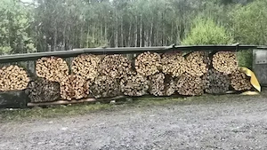 Trockenes Brennholz (Buche, oder Esche)