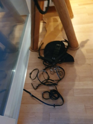 Holzpferd sucht neues Zuhause Bild 4