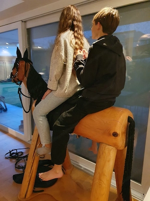 Holzpferd sucht neues Zuhause Bild 5