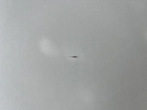 IKEA BEKANT Eckschreibtisch links   160   110 cm   höhenverstellbar Bild 4